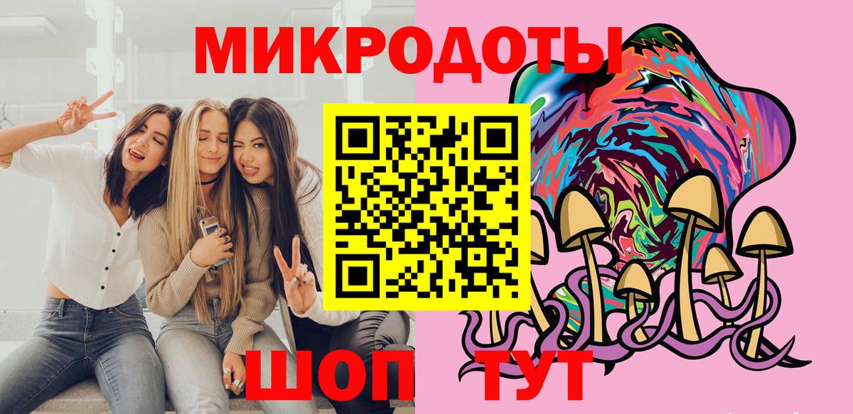 Псилоцибиновые грибы Psilocybe Новый Уренгой